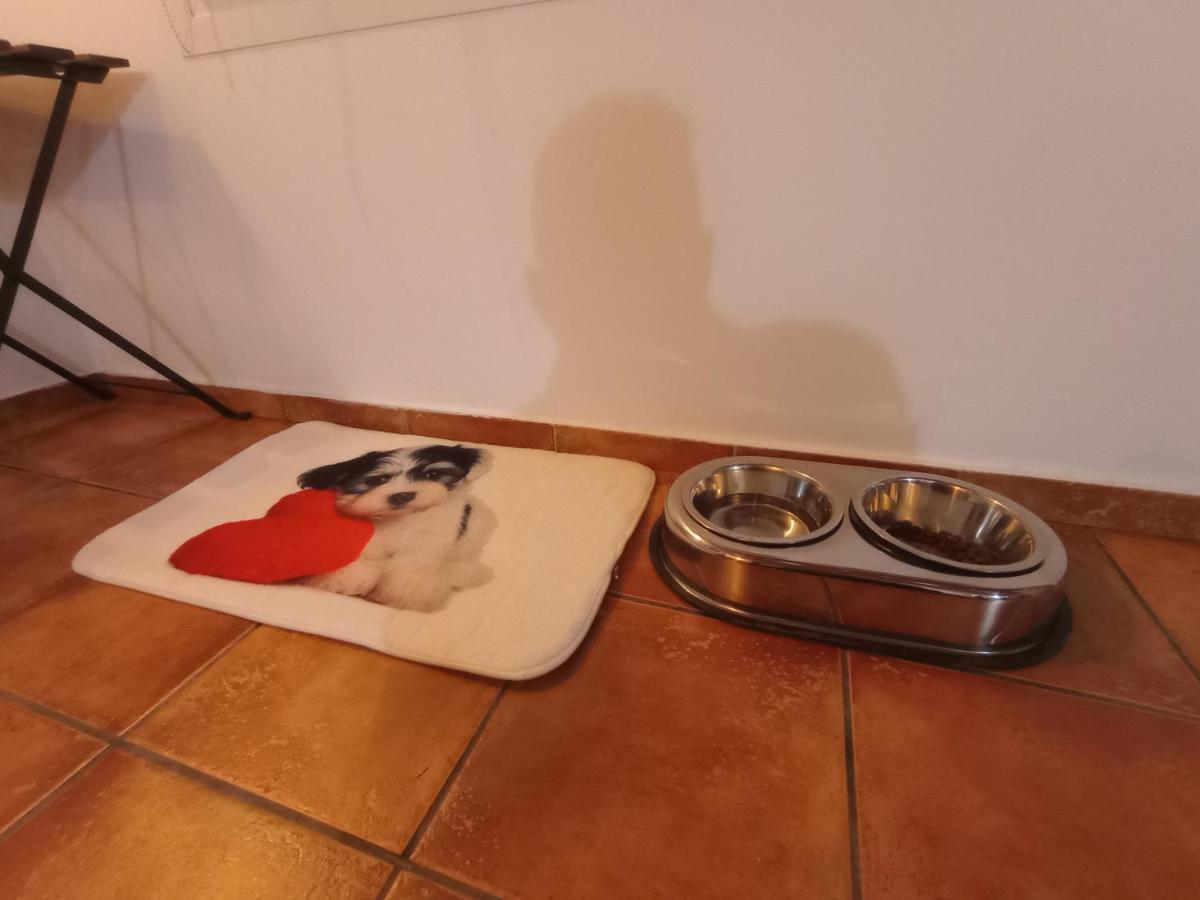 Casa De Campo Los Manueles Ideal Perros Pet Friendly Gojar Ngoại thất bức ảnh
