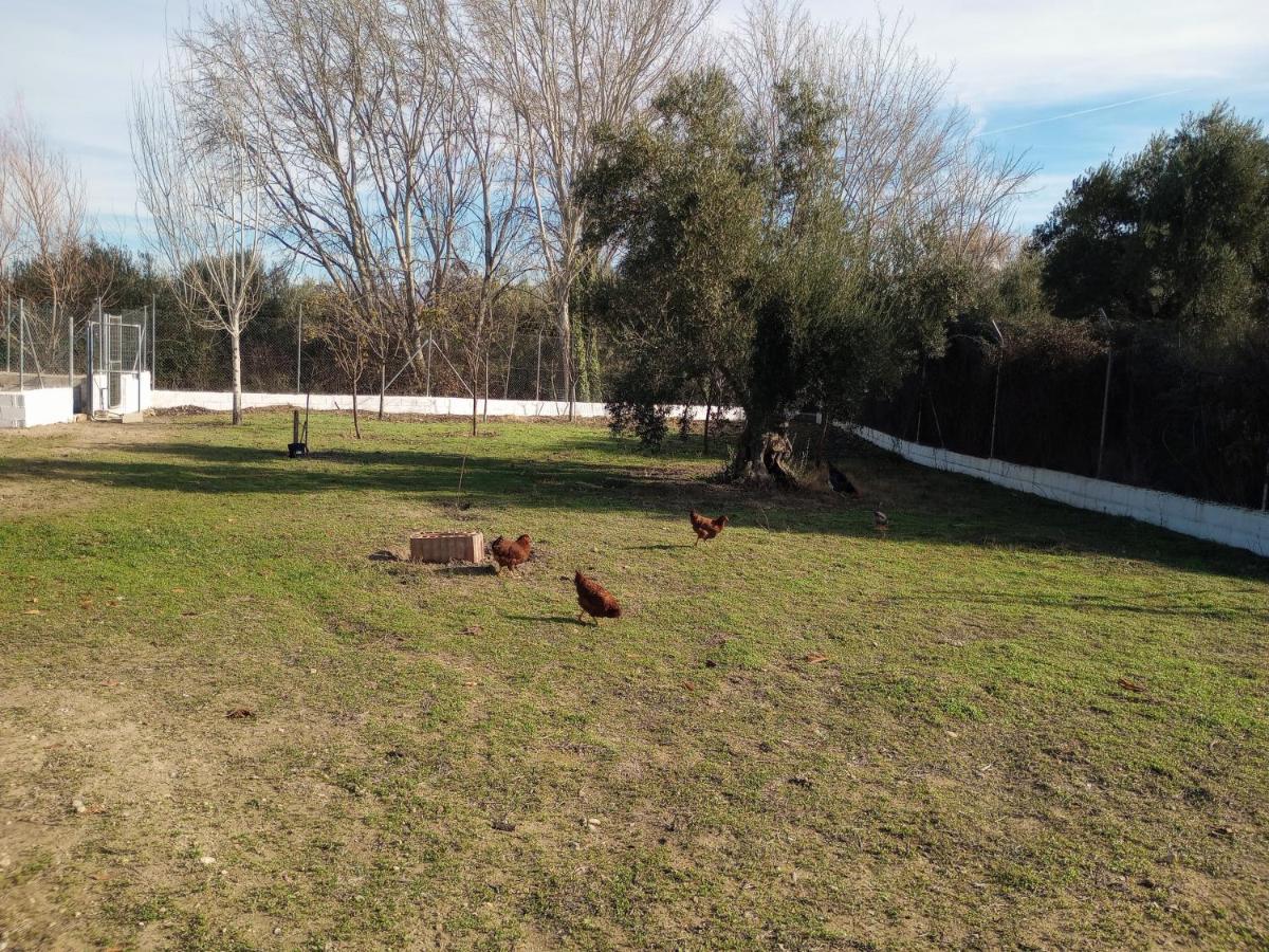 Casa De Campo Los Manueles Ideal Perros Pet Friendly Gojar Ngoại thất bức ảnh