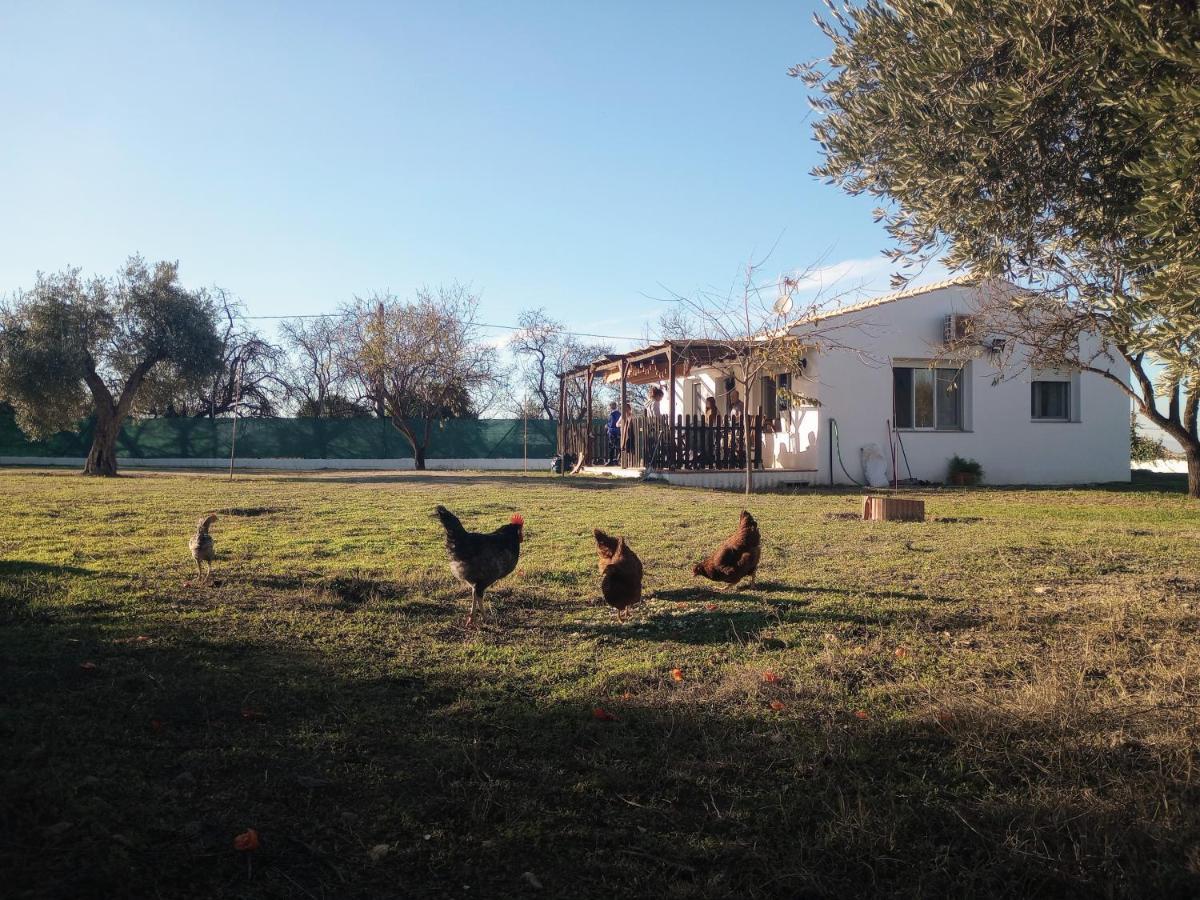 Casa De Campo Los Manueles Ideal Perros Pet Friendly Gojar Ngoại thất bức ảnh