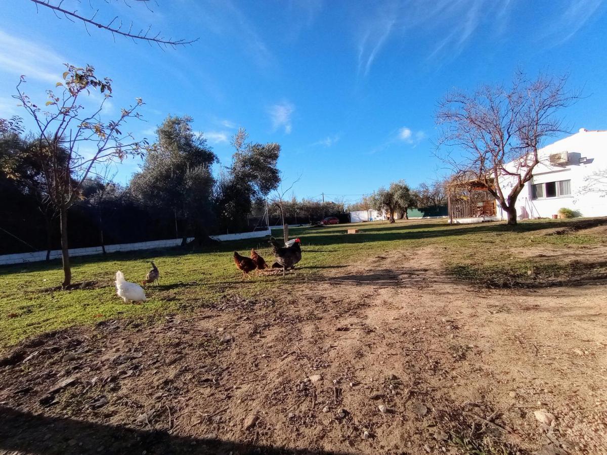 Casa De Campo Los Manueles Ideal Perros Pet Friendly Gojar Ngoại thất bức ảnh