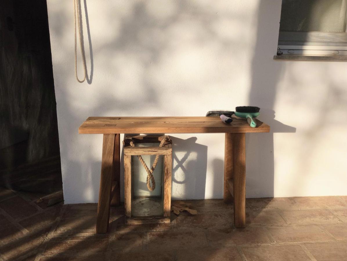 Casa De Campo Los Manueles Ideal Perros Pet Friendly Gojar Ngoại thất bức ảnh