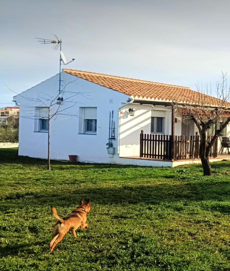 Casa De Campo Los Manueles Ideal Perros Pet Friendly Gojar Ngoại thất bức ảnh