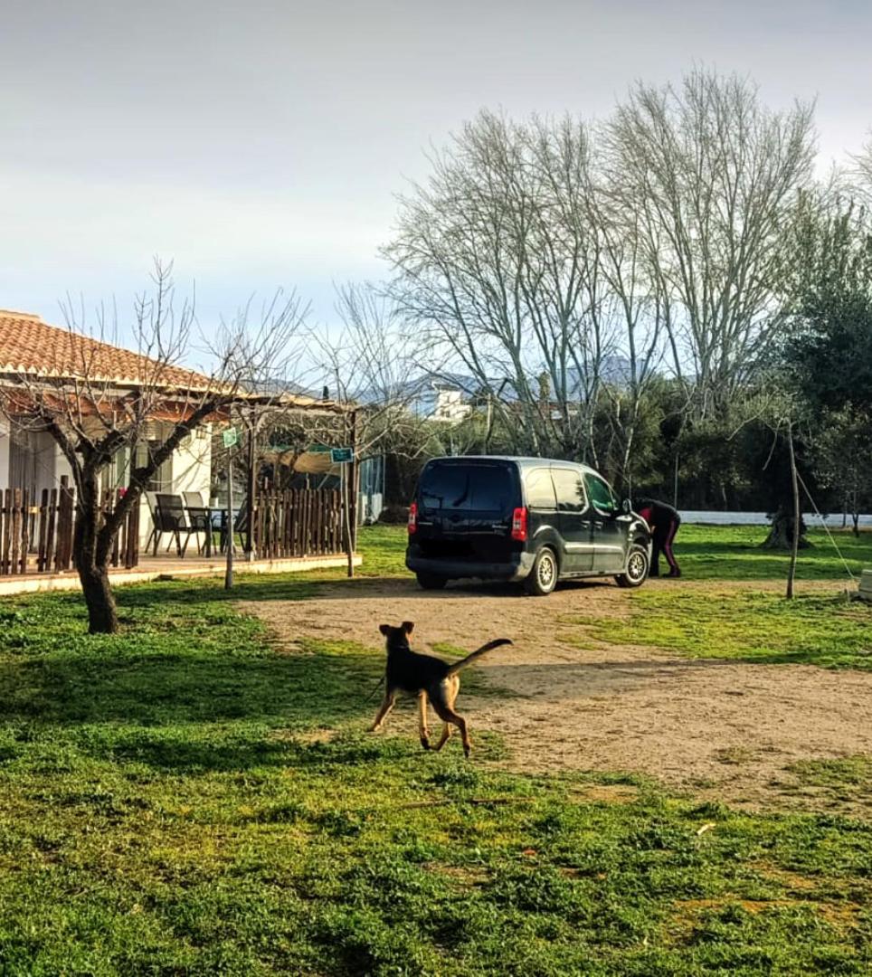 Casa De Campo Los Manueles Ideal Perros Pet Friendly Gojar Ngoại thất bức ảnh